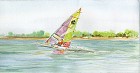 Wareham Sailboarder